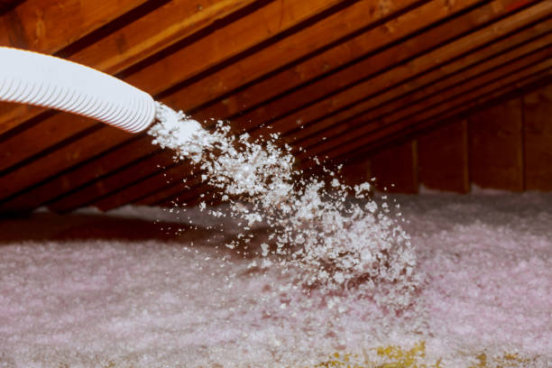 Best Insulation Maintenance and Repair in Myrtle Point, OR