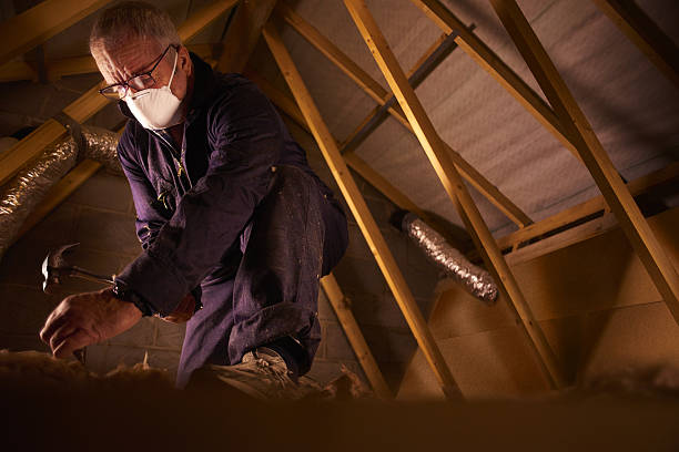 Best Eco-Friendly Insulation in Myrtle Point, OR