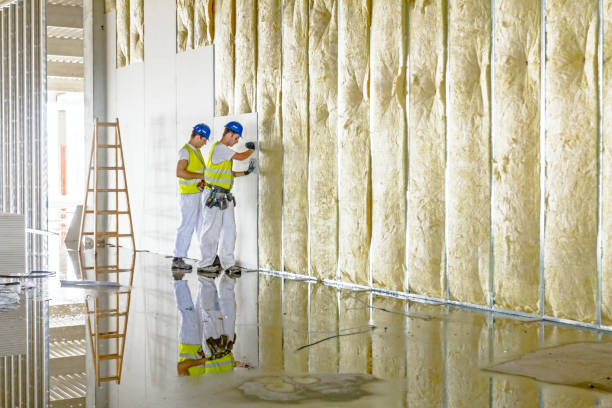 Best Residential Insulation in Myrtle Point, OR